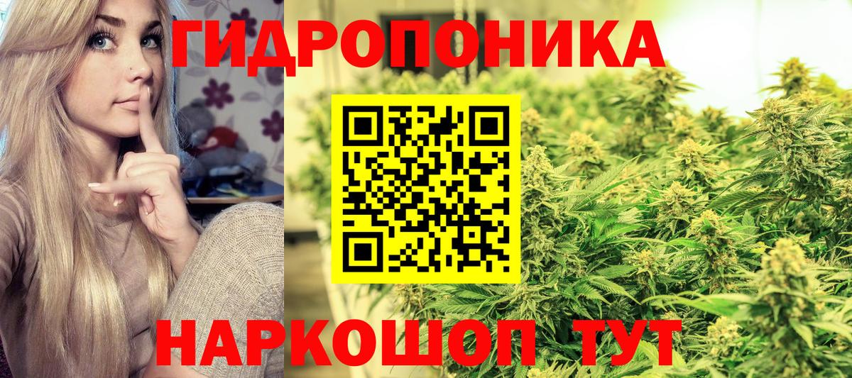 МАРИХУАНА VHQ  Конопля OG Kush  Вход с VPN  Канабис сатива  Соликамск 